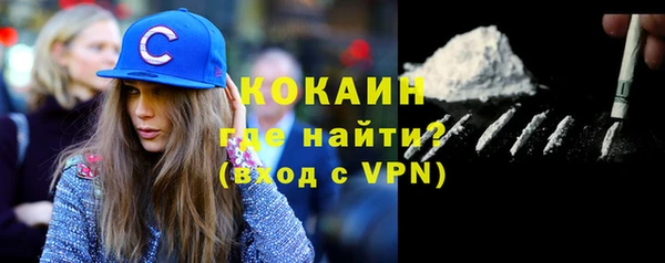 прущие грибы Костерёво