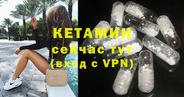 твердый Коряжма
